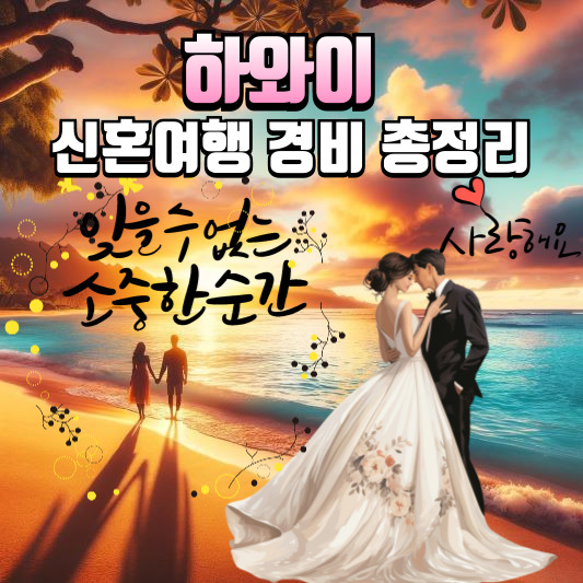 하와이 신혼여행 경비