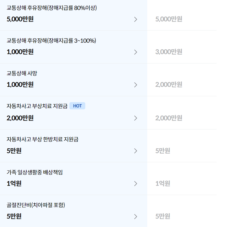 삼성화재 다이렉트 운전자보험 가입금액