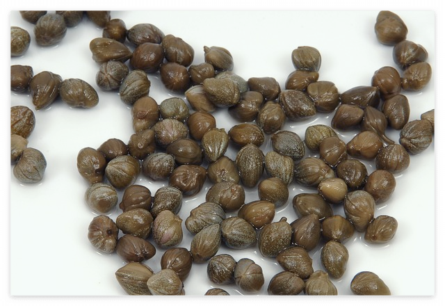 케이퍼: 작지만 강력한 맛의 비밀 무기