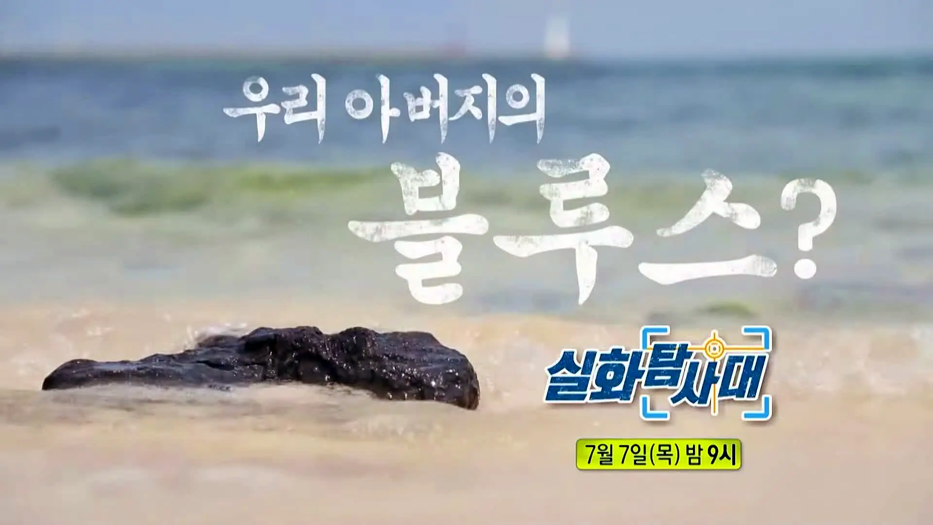 실화탐사대 금천구 비둘기엄마 구구맘 비둘기떼 피해 그리고 두 아내를 둔 아버지 춤바람과 카지노 계의 큰손 아버지