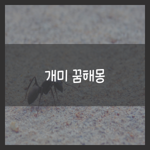 개미 꿈해몽