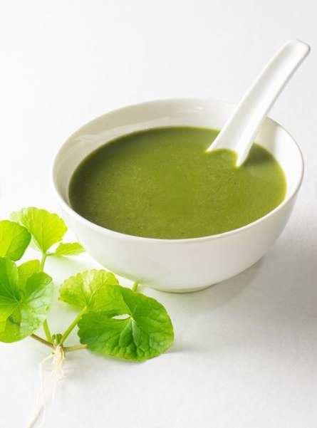 고투 콜라 스프