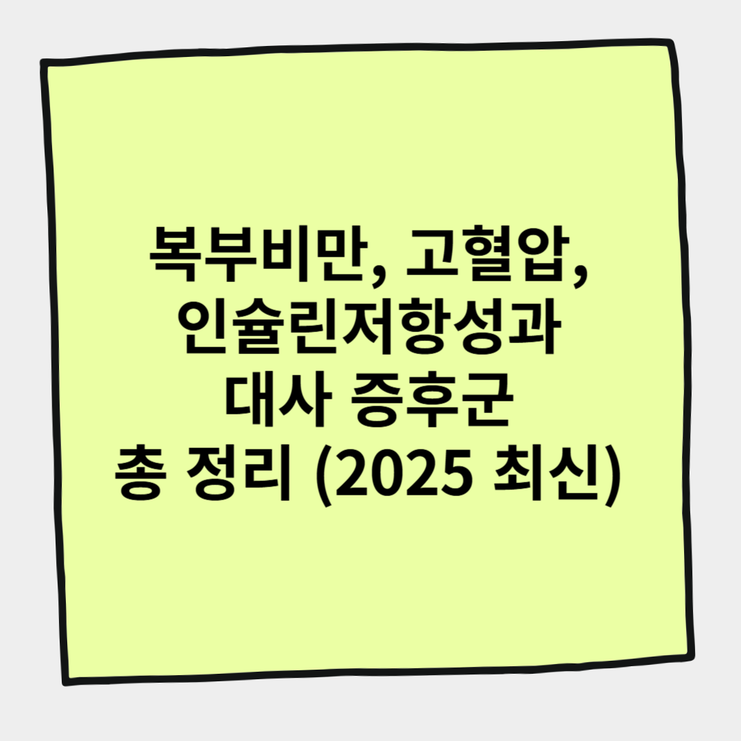 복부비만, 고혈압, 인슐린 저항성과 대사 증후군 총 정리 (2025 최신)