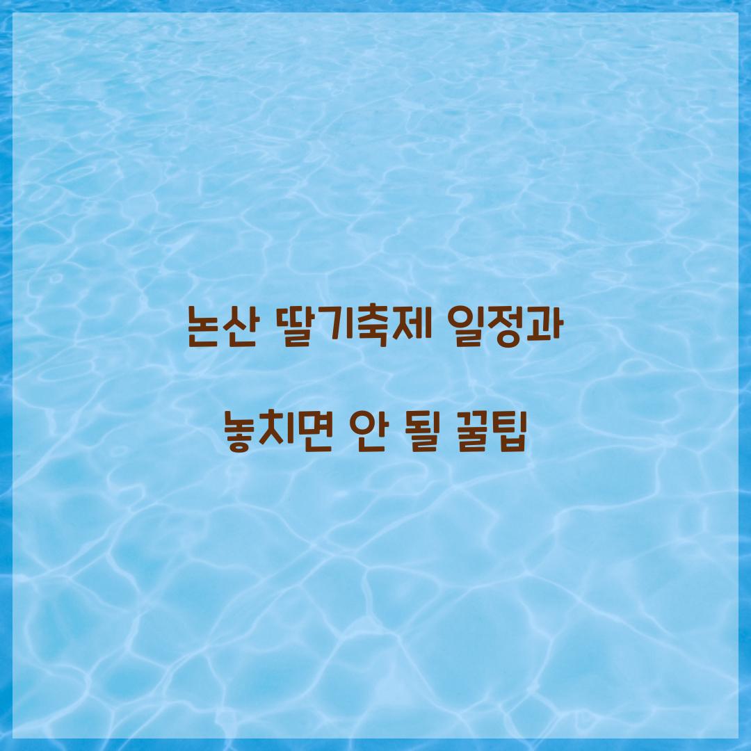 논산 딸기축제 일정