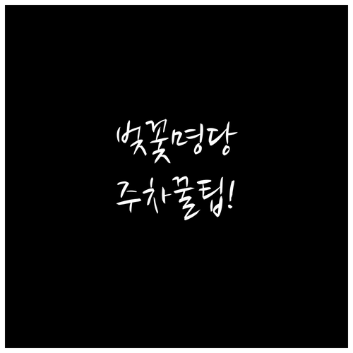 남한산성 벚꽃 축제 일정 주차 셔틀버..