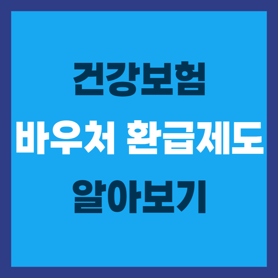 건강보험 바우처 환급제도