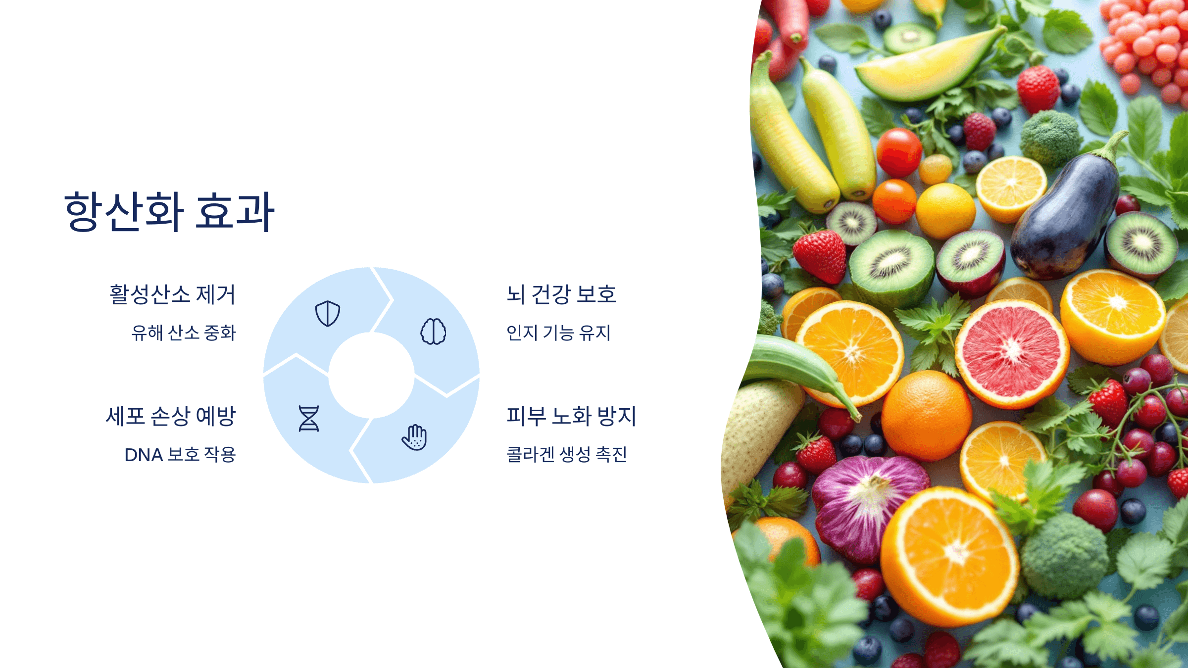 파비플로라 사진입니다.