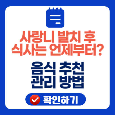 사랑니 발치 후 식사는 언제부터? 음식 추천 관리 방법