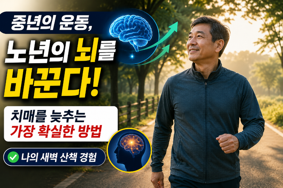 중년의 운동, 노년의 뇌를 바꾼다