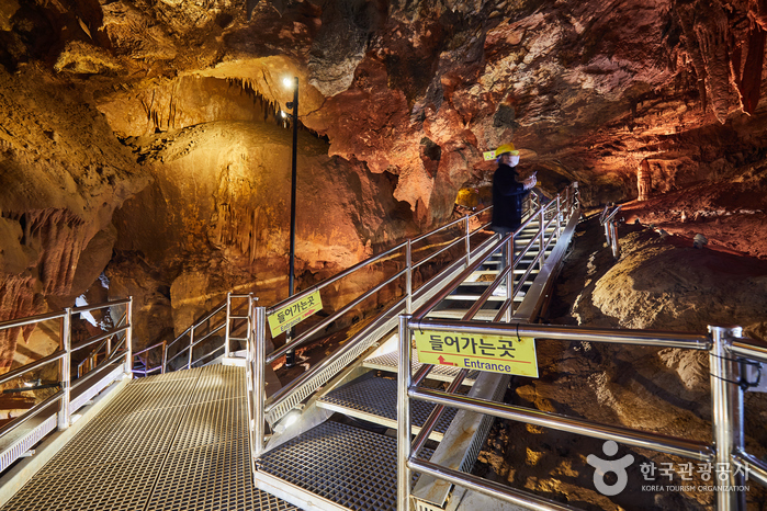 동해 가볼만한곳 - 천곡황금박쥐동굴