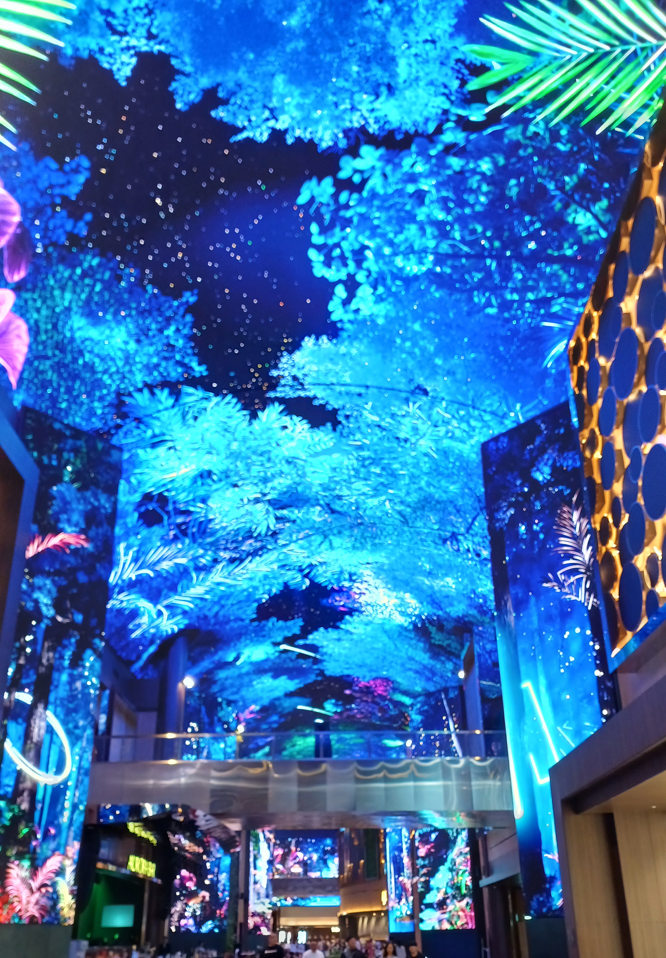 인스파이어-오로라-고래쇼-4