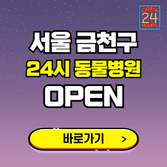 서울 금천구 24시 동물병원 진료하는 곳 ❘ 설날 휴일 야간 심야 문여는곳 찾기 ❘ 응급진료