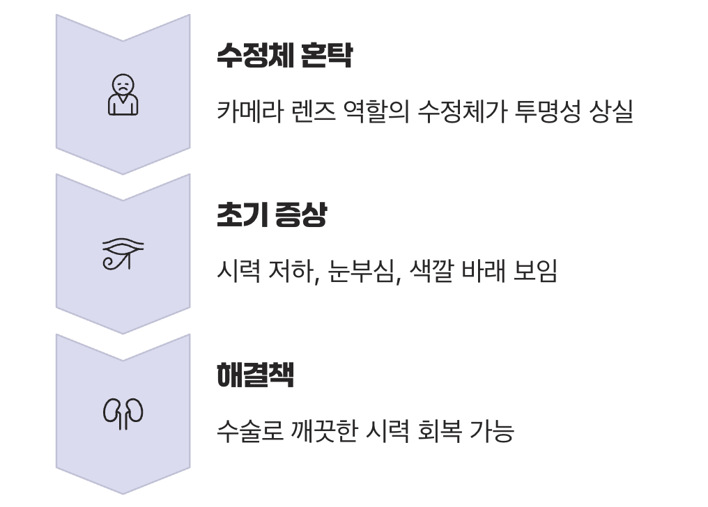 안개 낀 세상, 백내장이라는 신호