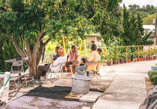 기초연금과-노령연금-수령자들이-나무밑에서-쉬고-있다