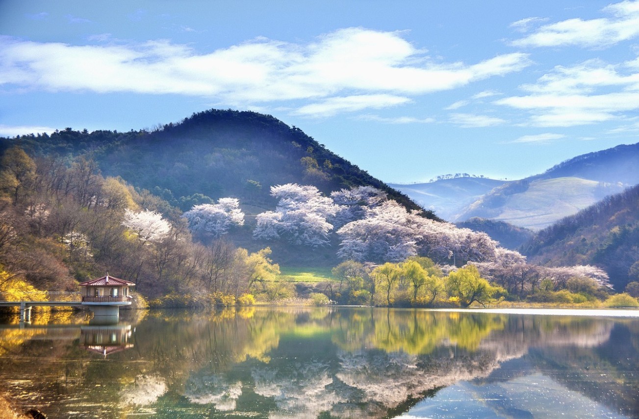 서울 근교 경기도 봄 여행 맛집, 감성, 힐링 명소 추천 관련 사진