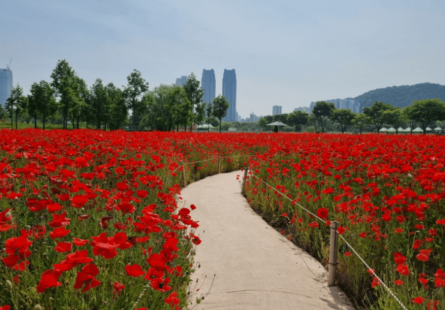 태화강국가정원봄꽃축제