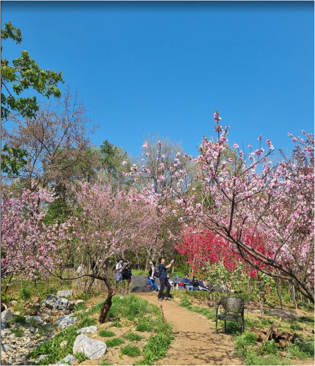 불암산 나비정원