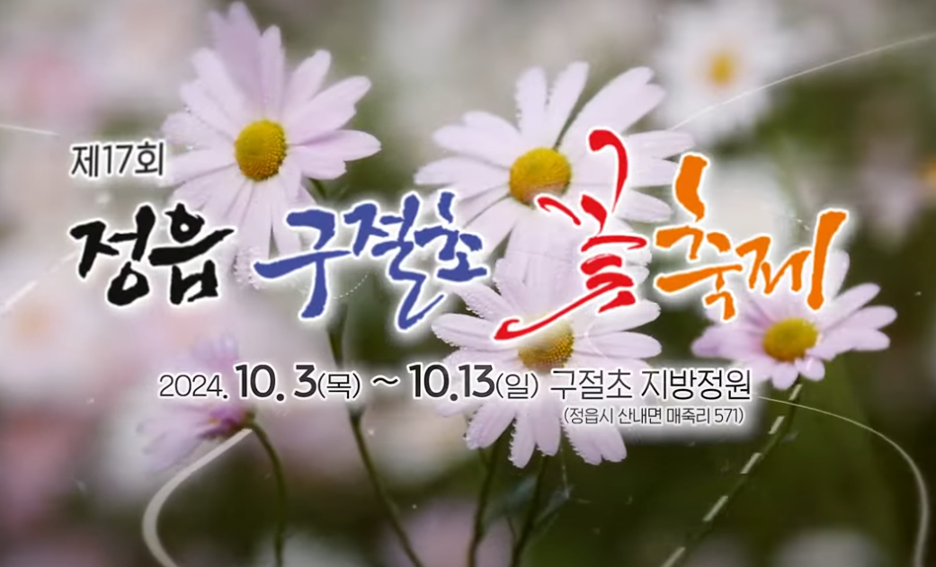 정읍 구절초 꽃축제