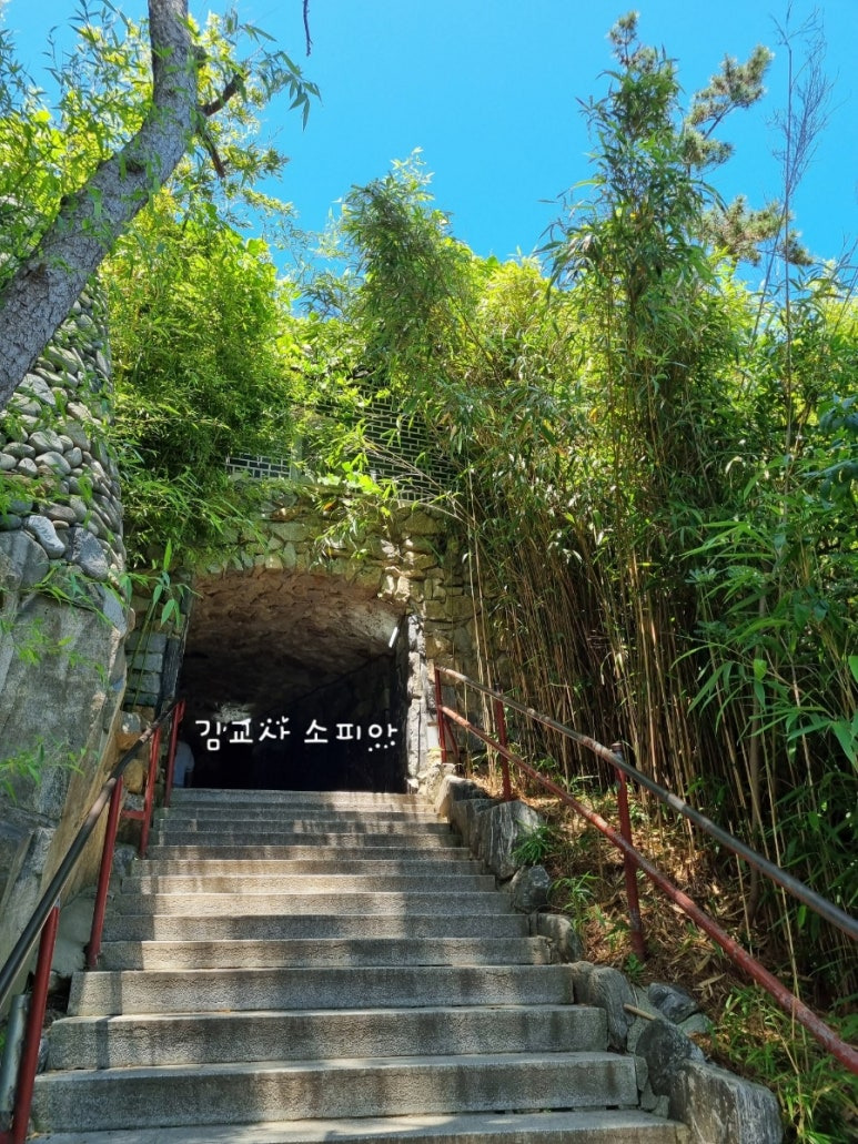 ✨부산 해동용궁사 꿀팁 총정리|108번뇌, 절밥 공양, 교통정보까지!✨