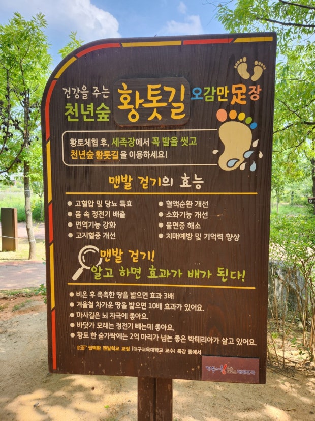 자연 속 힐링! 안동 천년숲 황토길 맨발걷기 체험 후기 관련 사진