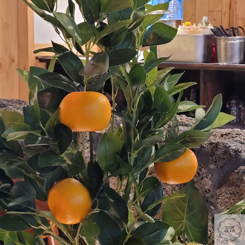 제주도 감귤 확대