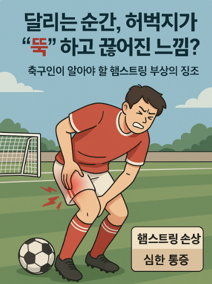 달리는 순간, 허벅지가 ‘뚝’? 축구인의 햄스트링 부상 이야기