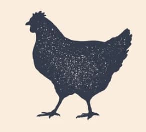 동물 꿈주제(닭)