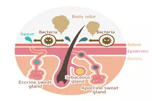 겨드랑이-냄새-제거방법