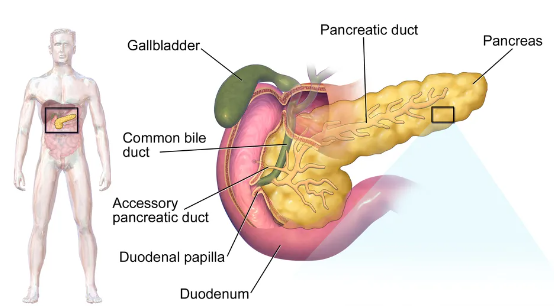 당뇨초기증상치료