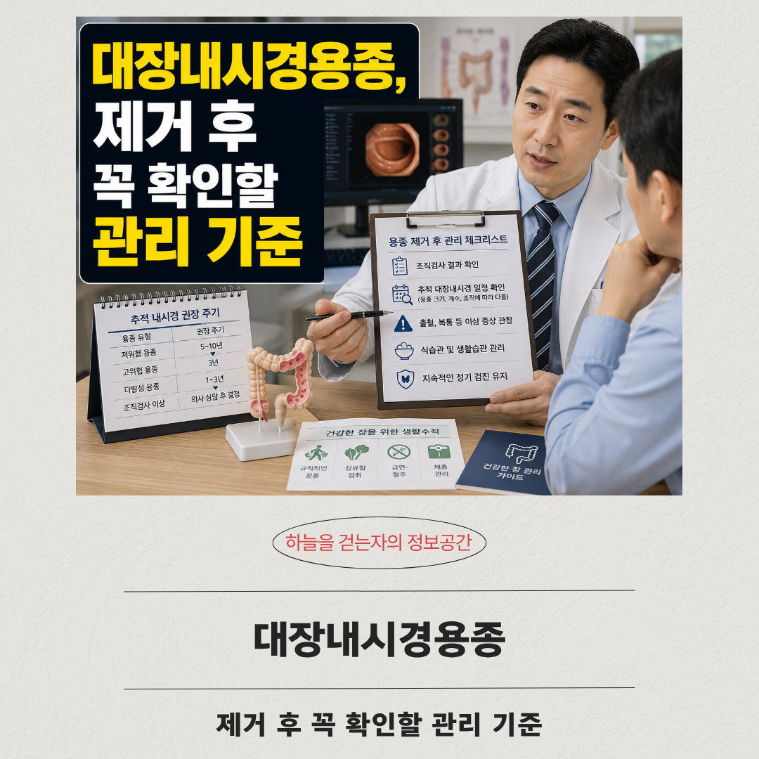 대장내시경용종, 제거 후 꼭 확인할 관리 기준