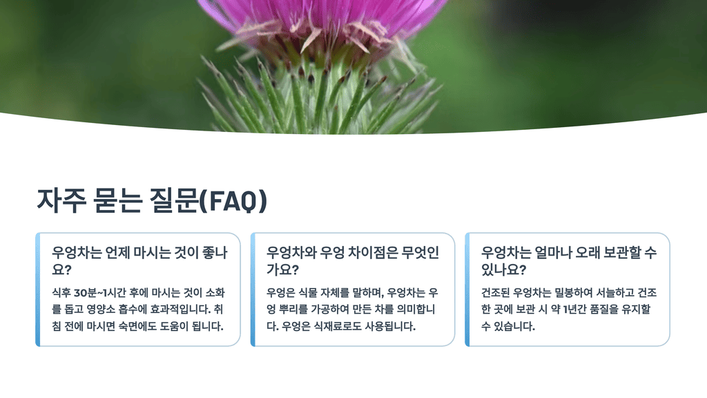 자주 묻는 질문(FAQ)