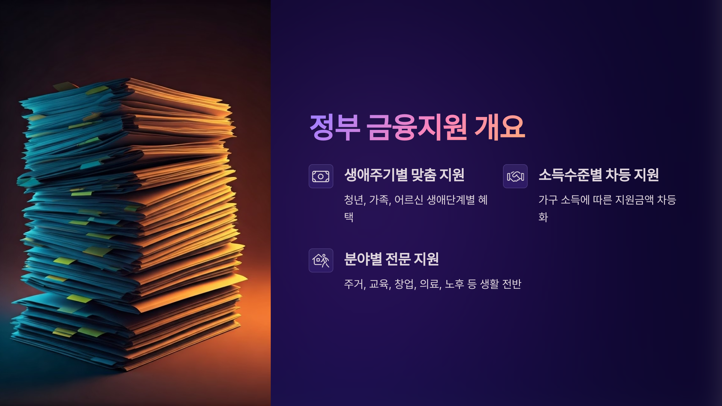 정부 금융지원 개요