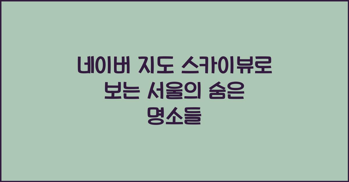 네이버 지도 스카이뷰