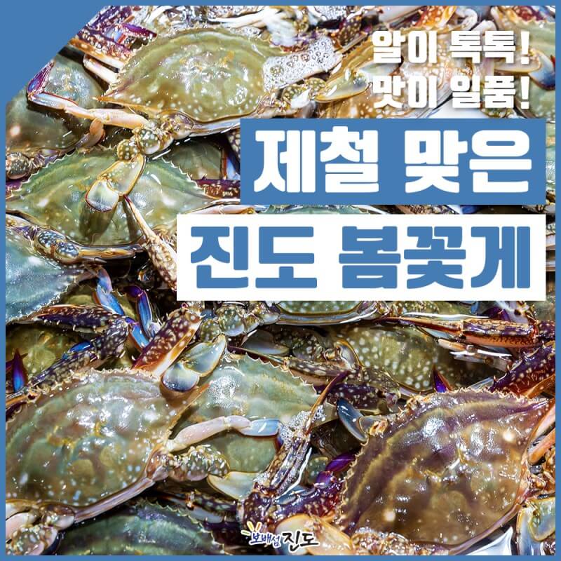 극한직업 진도 꽃게 택배 주문하기 