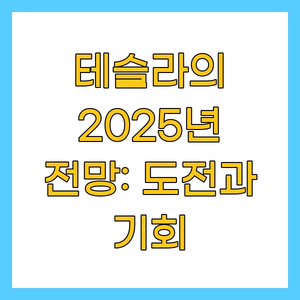 테슬라의 2025년 전망