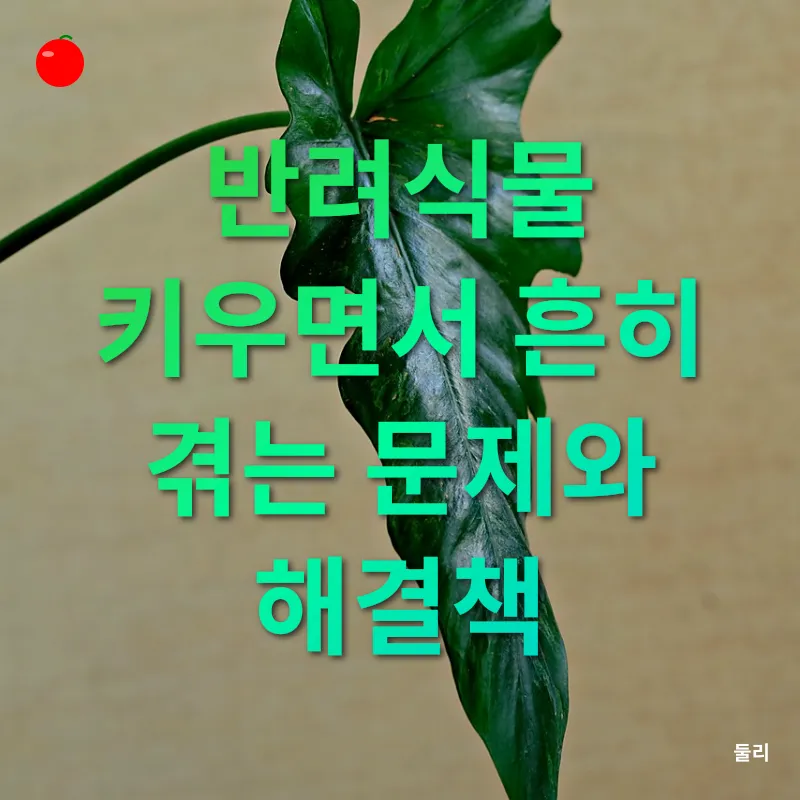실내 정원 조성_3