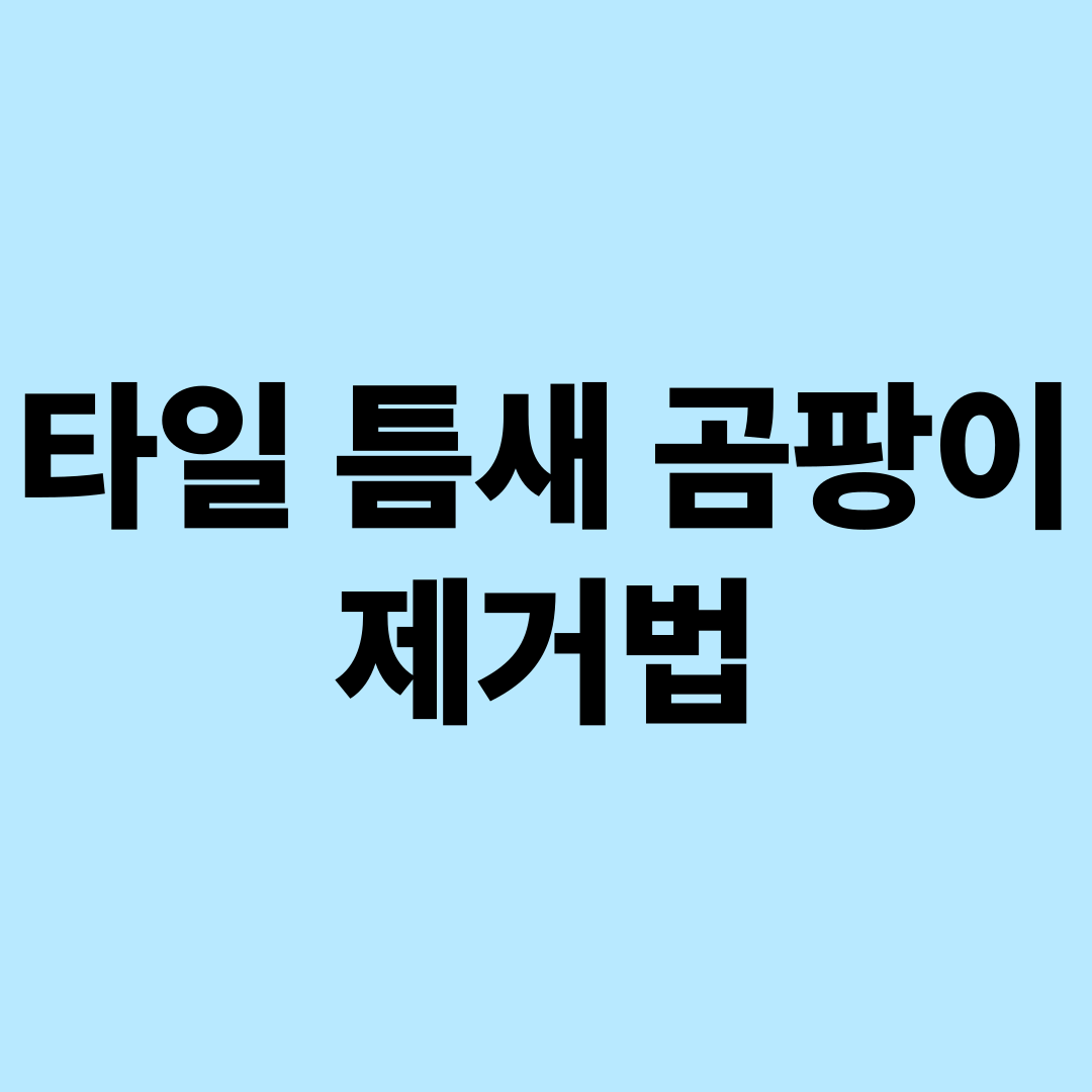 타일 틈새 곰팡이 제거 방법