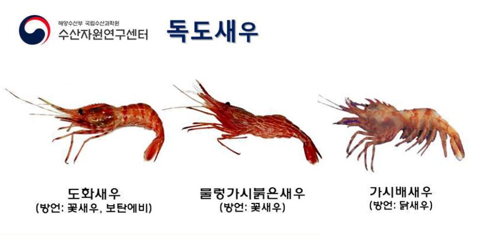 독도생우의 종류