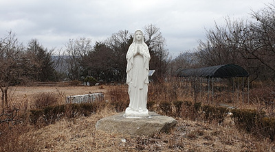 성모님 사진