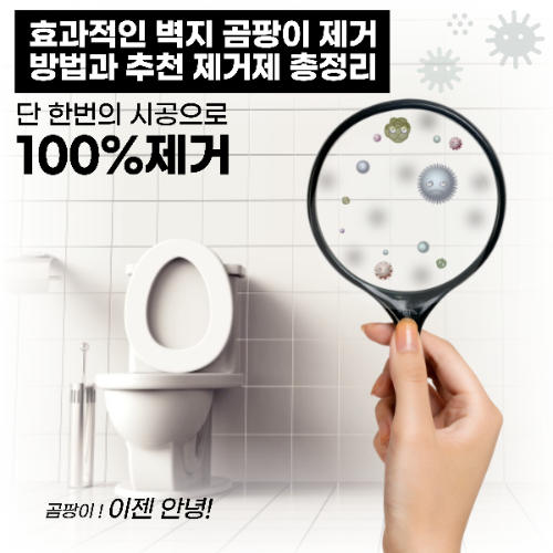 효과적인 벽지 곰팡이 제거 방법과 추천 제거제 관련 사진