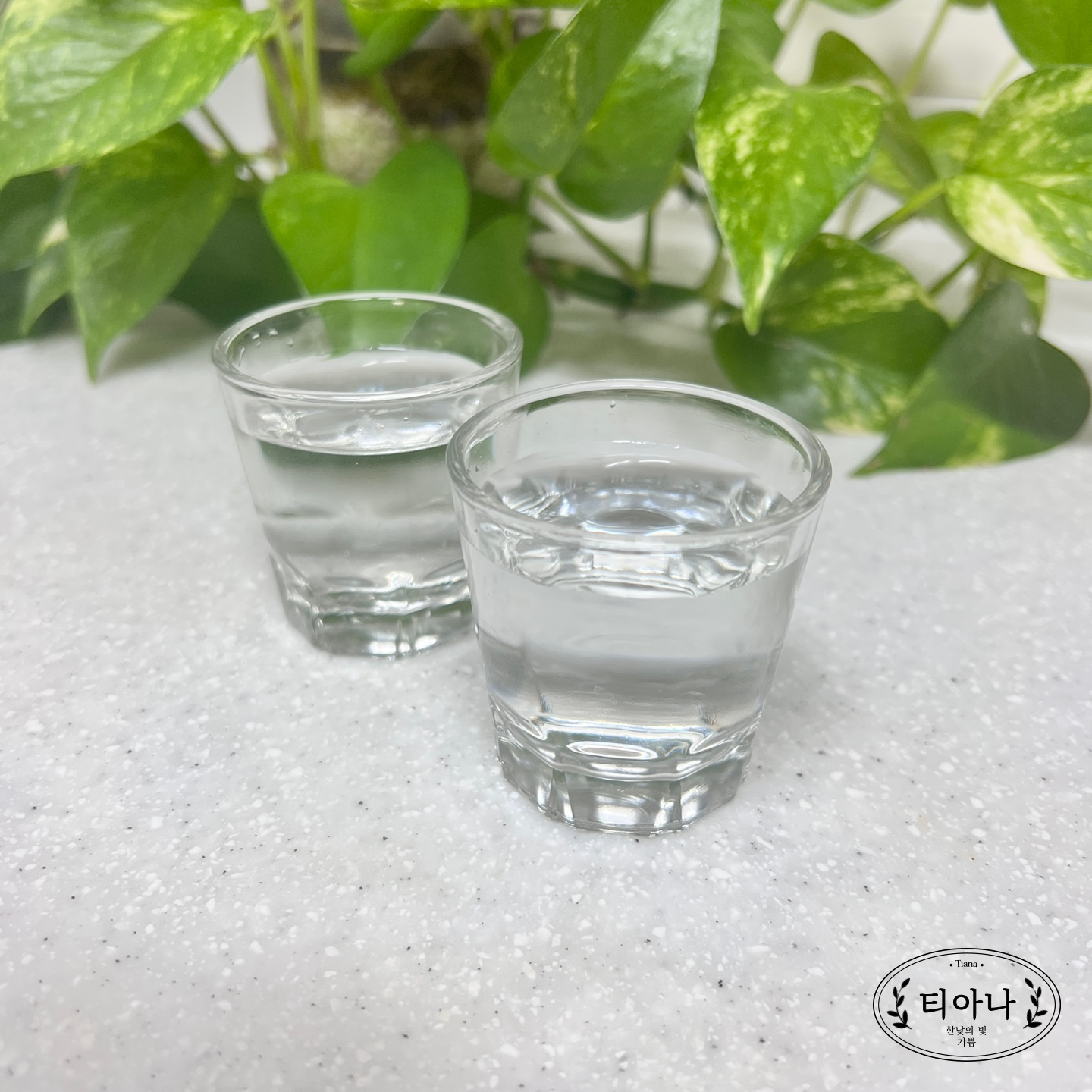 다이어트 중에 술 마셔도 될까요? 마실 때 안주는?
