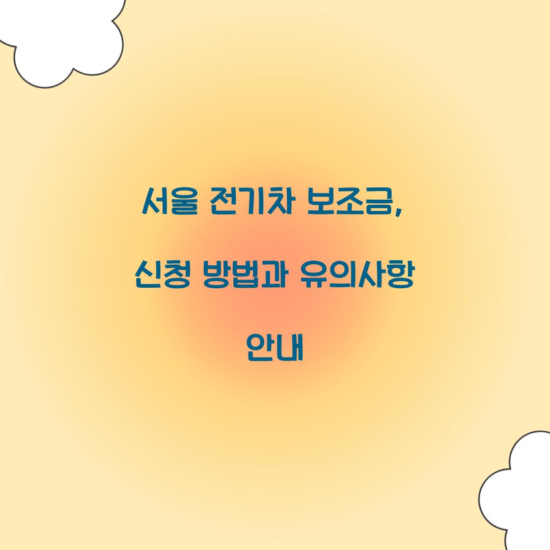 서울 전기차 보조금