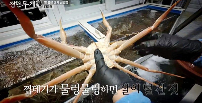 전현무 계획 2 영덕 대게 집