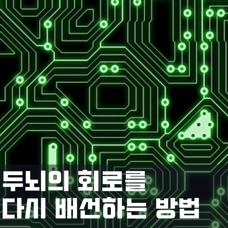 두뇌 회로를 다시 배선하는 방법