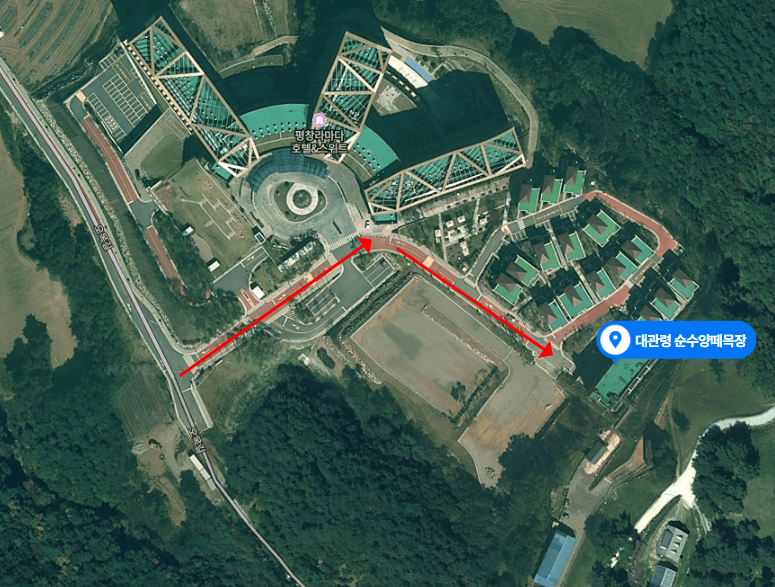 대관령-순수양떼목장-주차