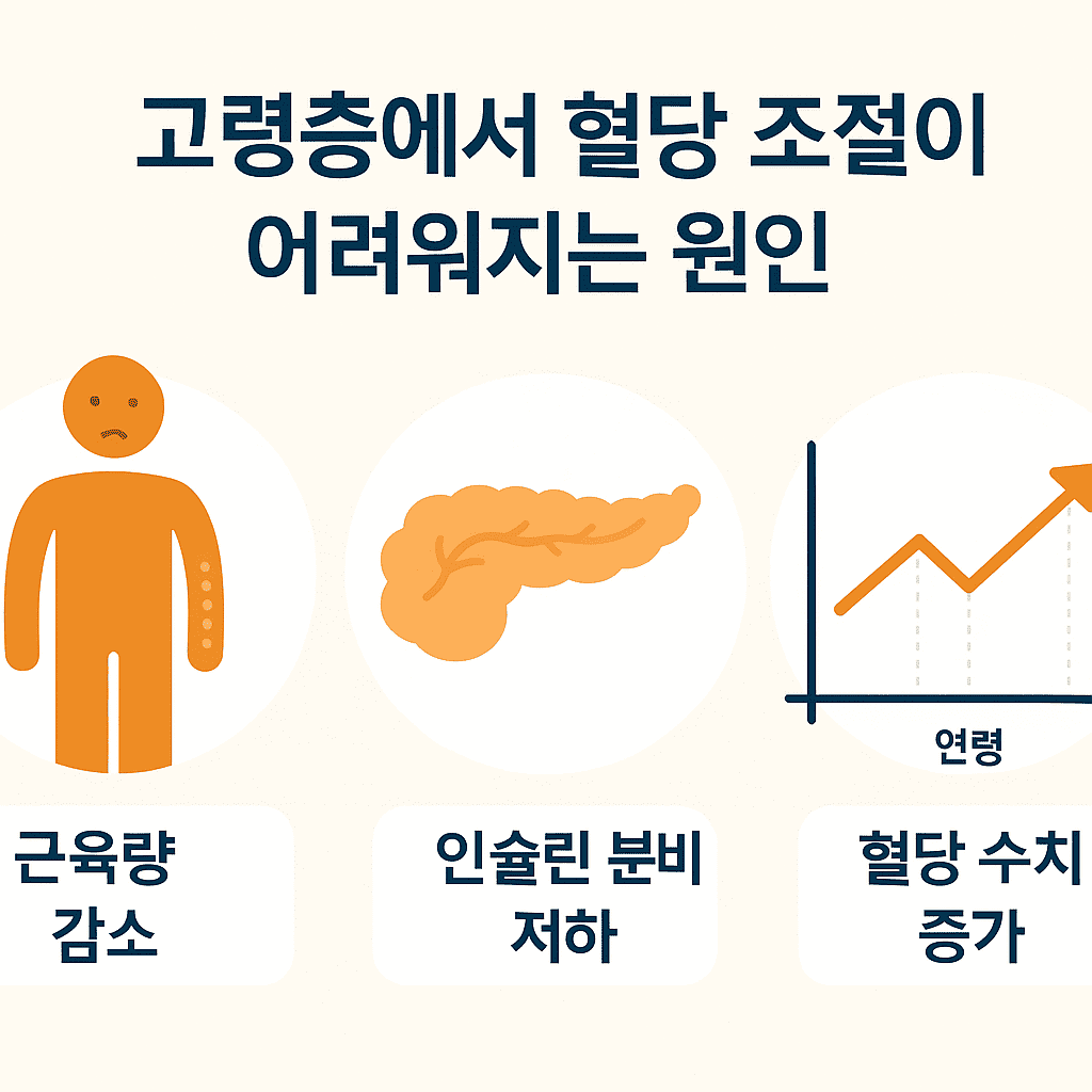 60대 이상 혈당을 안정시키는 생활습관
