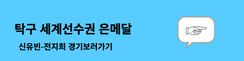 탁구 세계선수권 은메달
