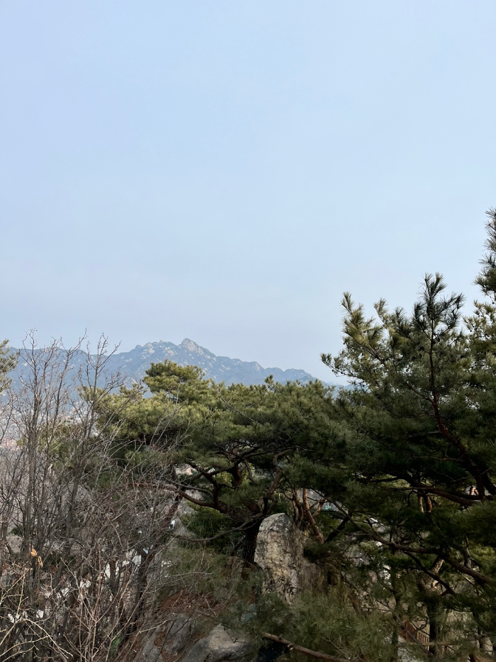 정상에서 바라본 뷰