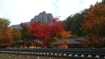청송 주왕산 여행 코스 폭포 산책 주차 가을 단풍 포인트_20