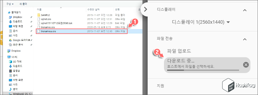 파일 다운로드